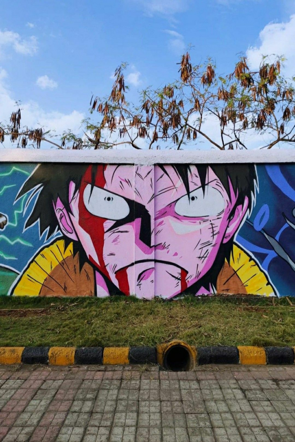 cool one piece graffiti : r/OnePiece