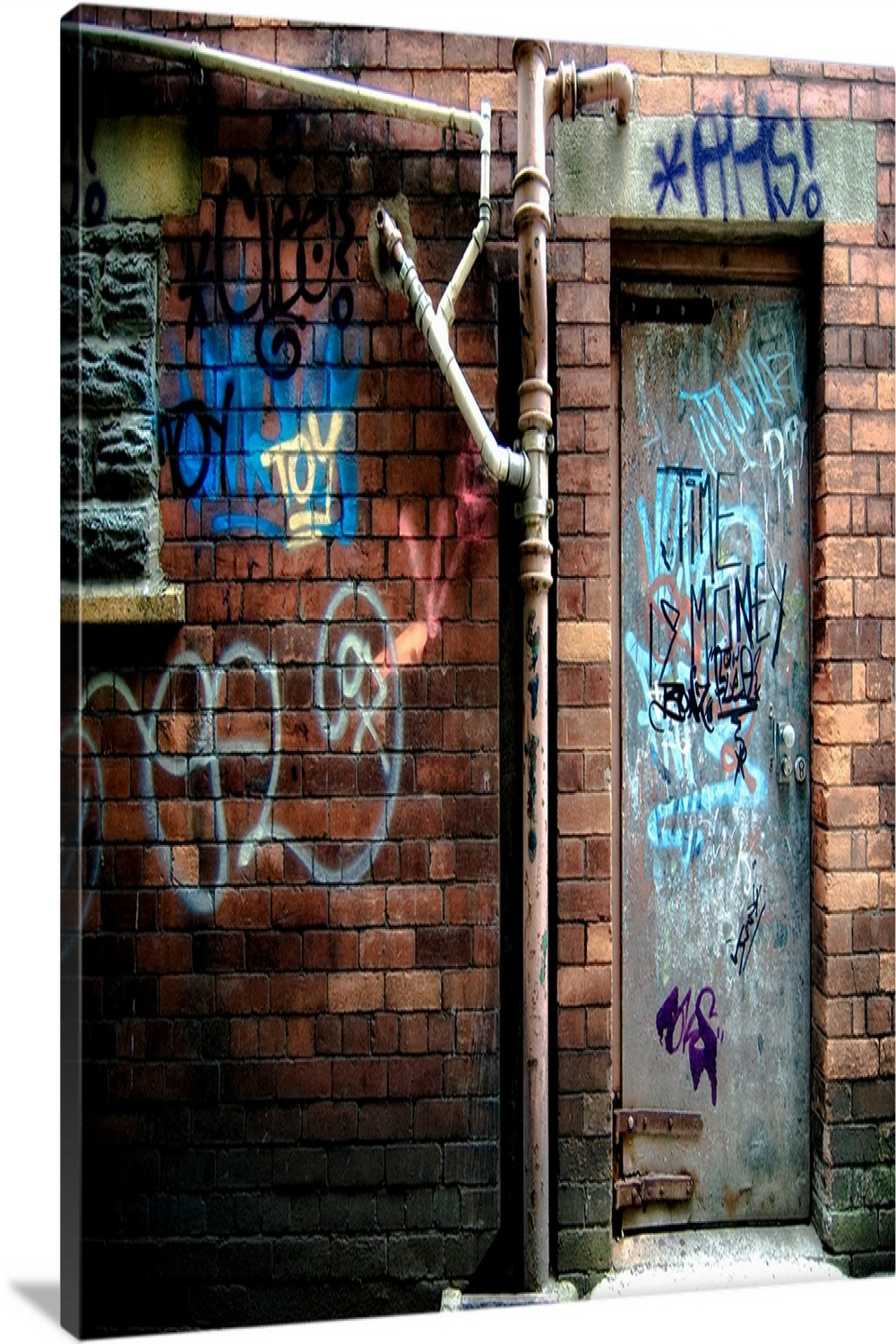 Derelict door with graffiti Wall Art, Canvas Prints, Framed Prints