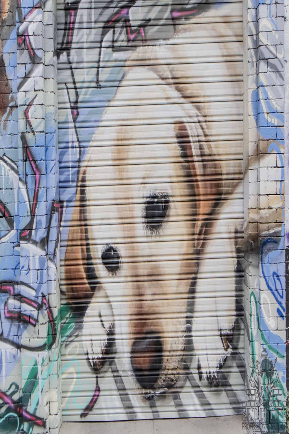 Graffiti Artist Melbourne dog-portrait-wall-mural- - Street