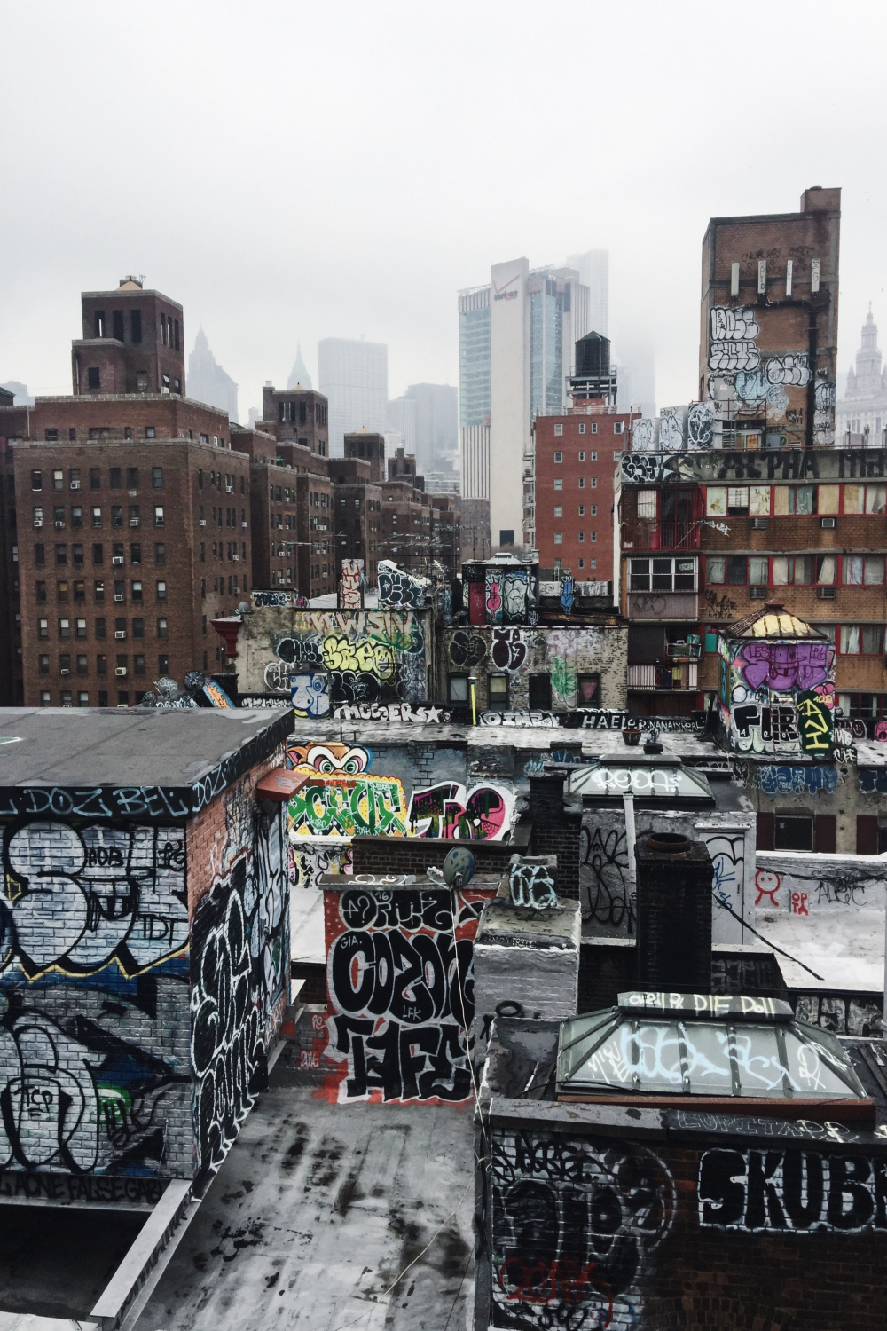 New York Graffiti Pictures  Download Free Images on Unsplash