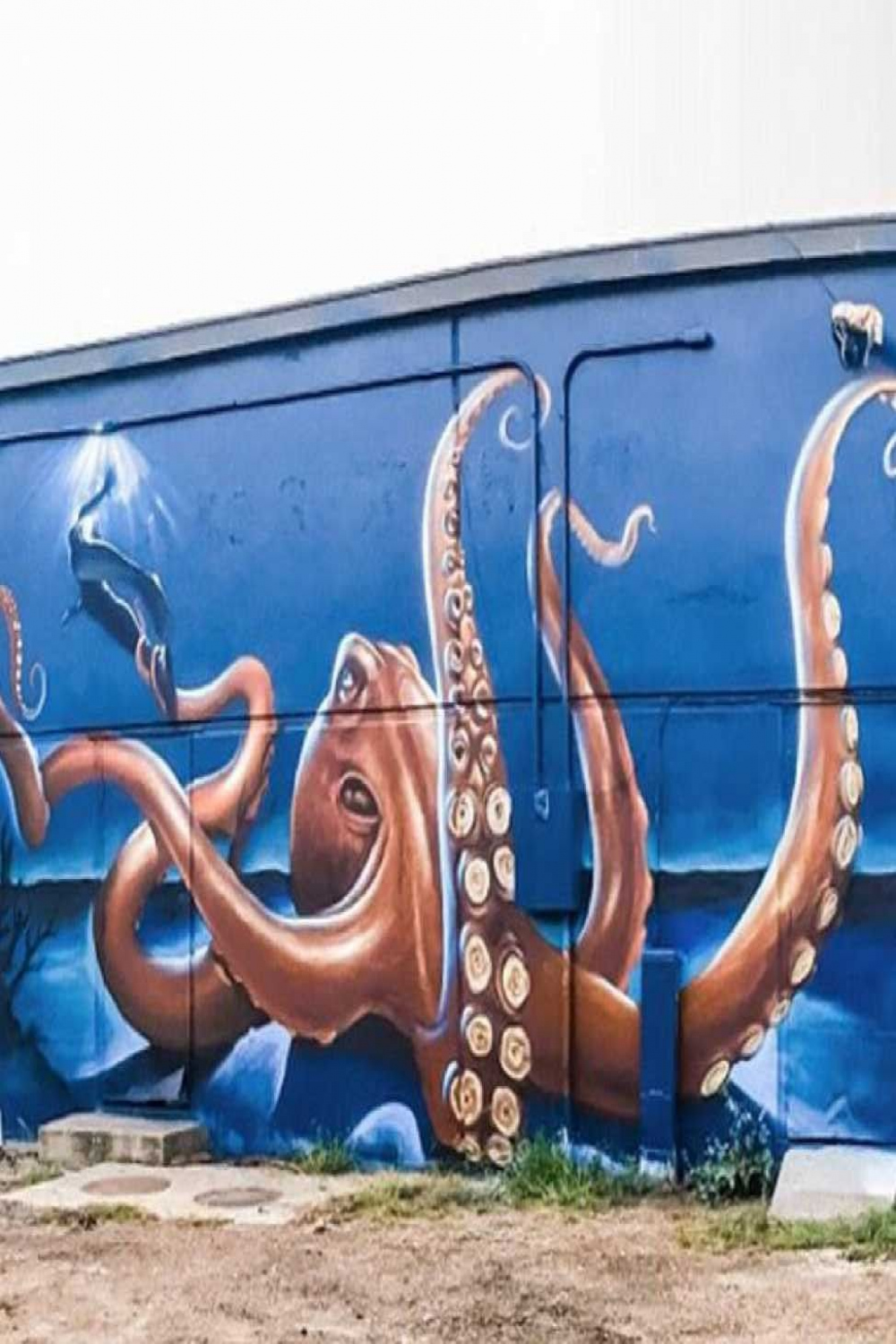 Octopus art graffiti  Street art, Mural art, Graffiti