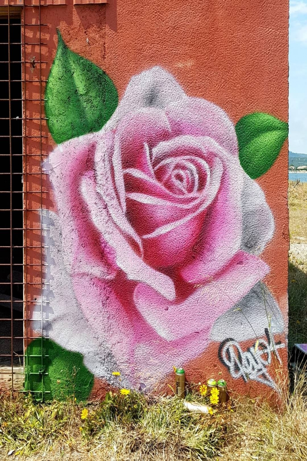 Roses graffiti  Graffiti flowers, Graffiti, Painting art projects