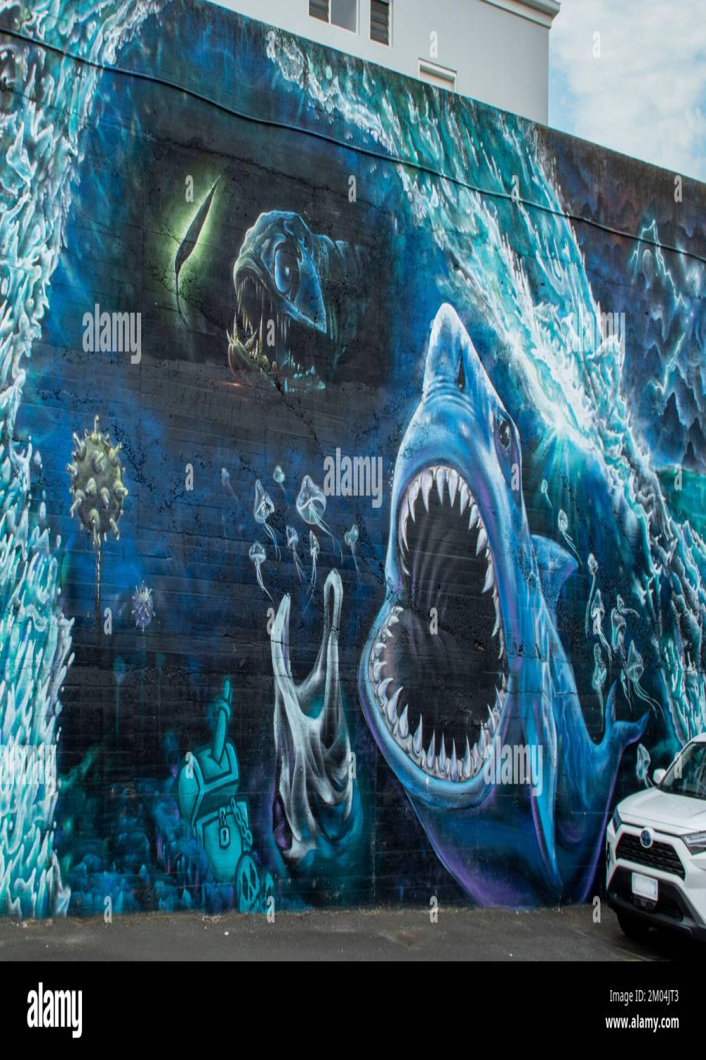 Shark street art hi-res stock photography and images - Alamy