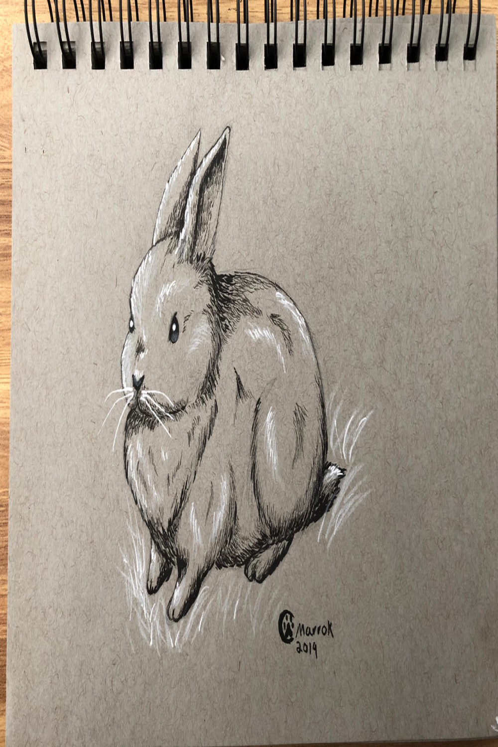 Bunny Speed Drawing On Toned paper by MarroksArtStudio on DeviantArt