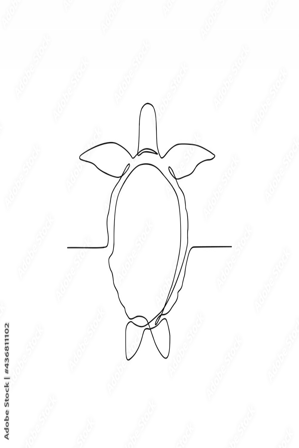 Continuous line art drawing of turtle