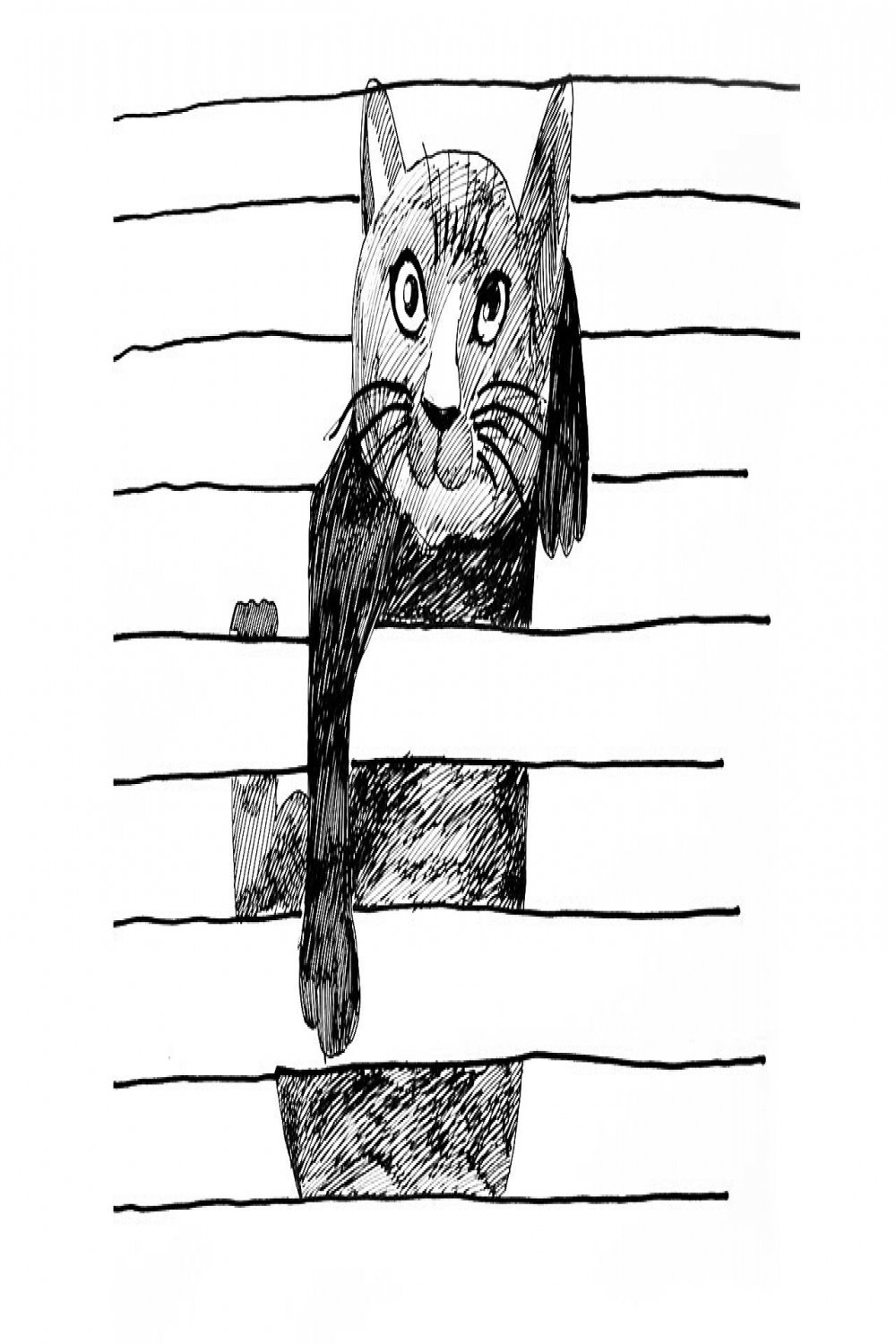 D Cat Drawing  How to Draw D Cat Illusion  Cat Drawing on Line Paper   Lined Paper Trick Art