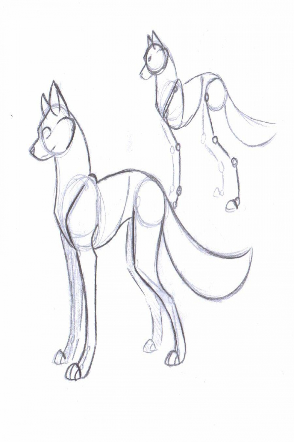 Dog Anatomy Ref by NekoZdemon on deviantART  Desenhando esboços