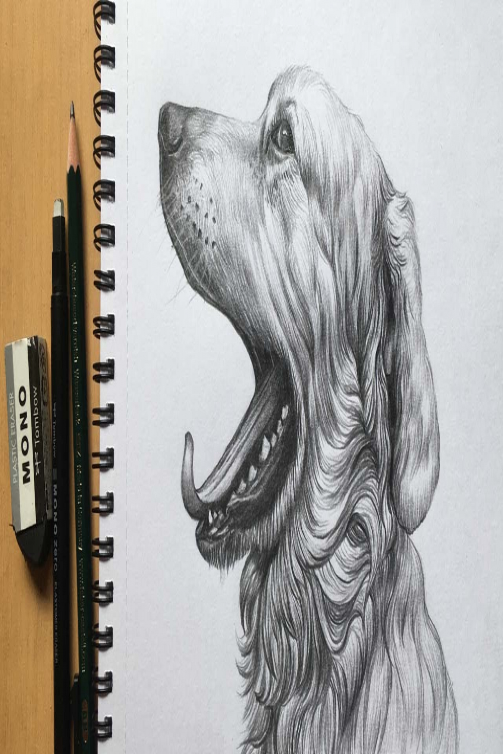 Dog Face Drawing in Pencil  Pencil Sketch  Animal Drawing