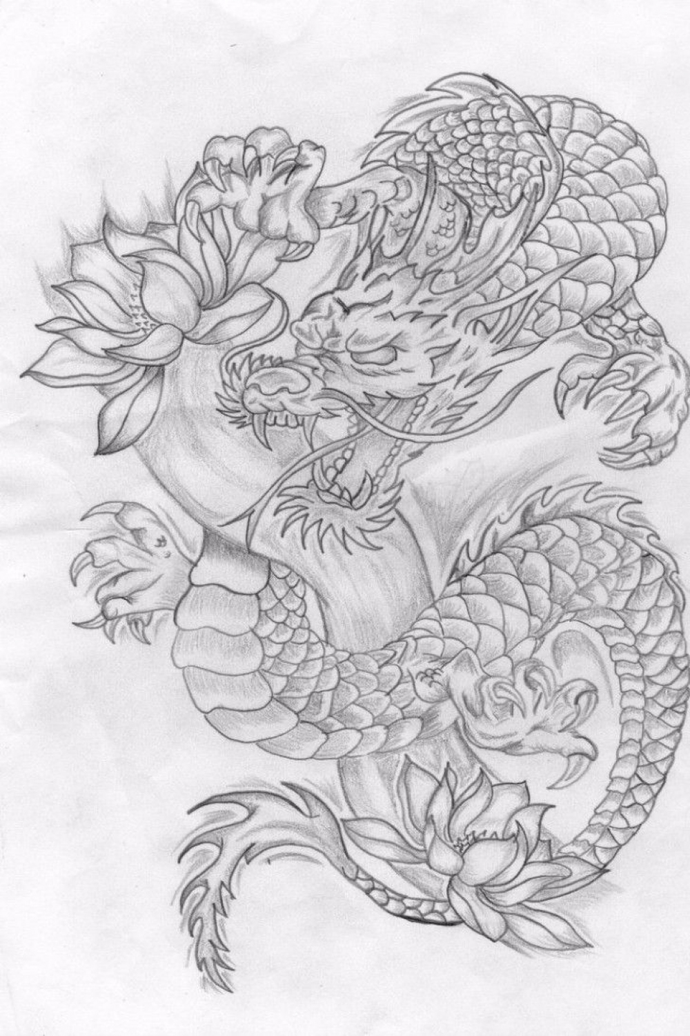 dragon dance drawing  Japanese dragon tattoos, Chinese dragon