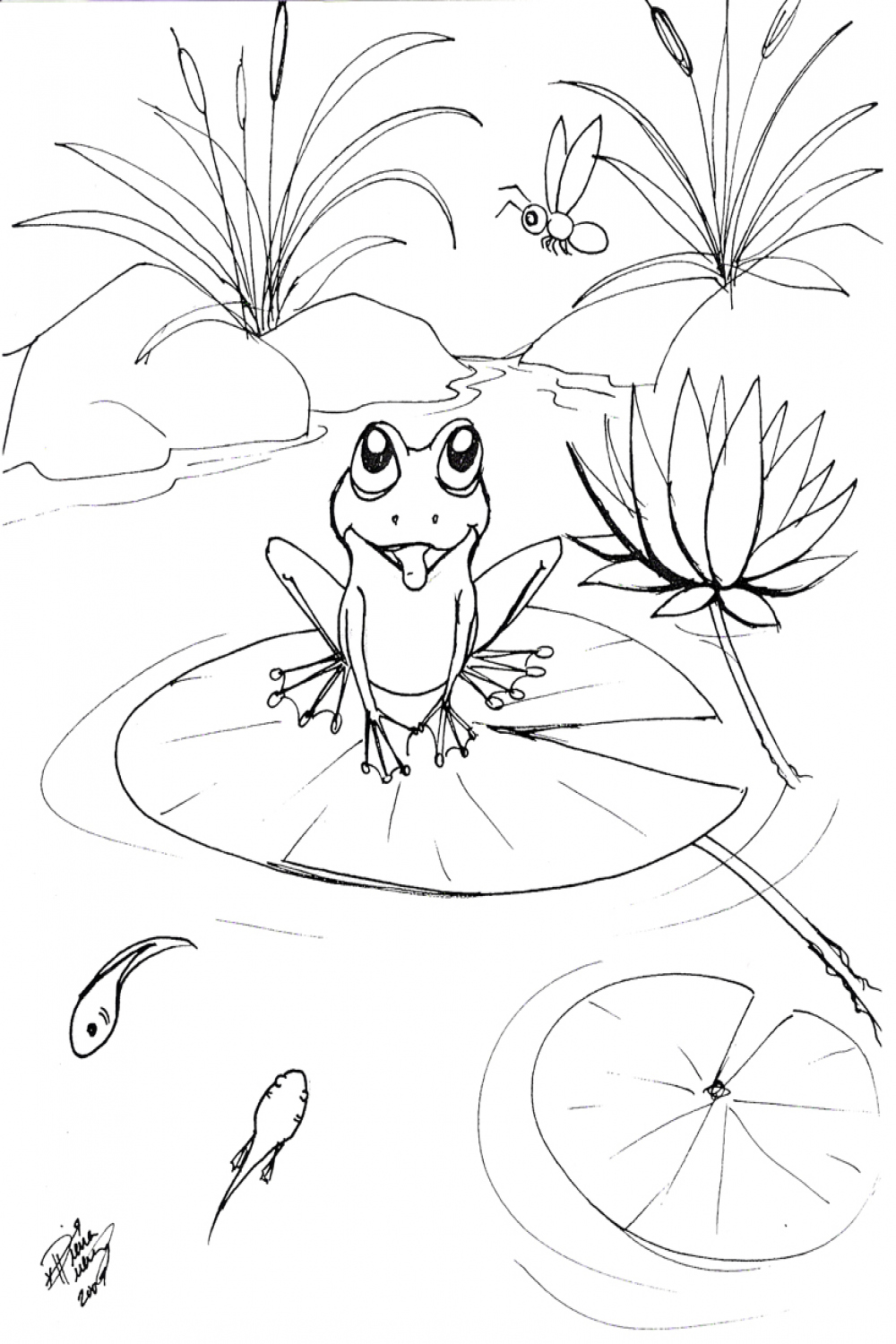 Draw a Frog  by Diana-Huang on DeviantArt