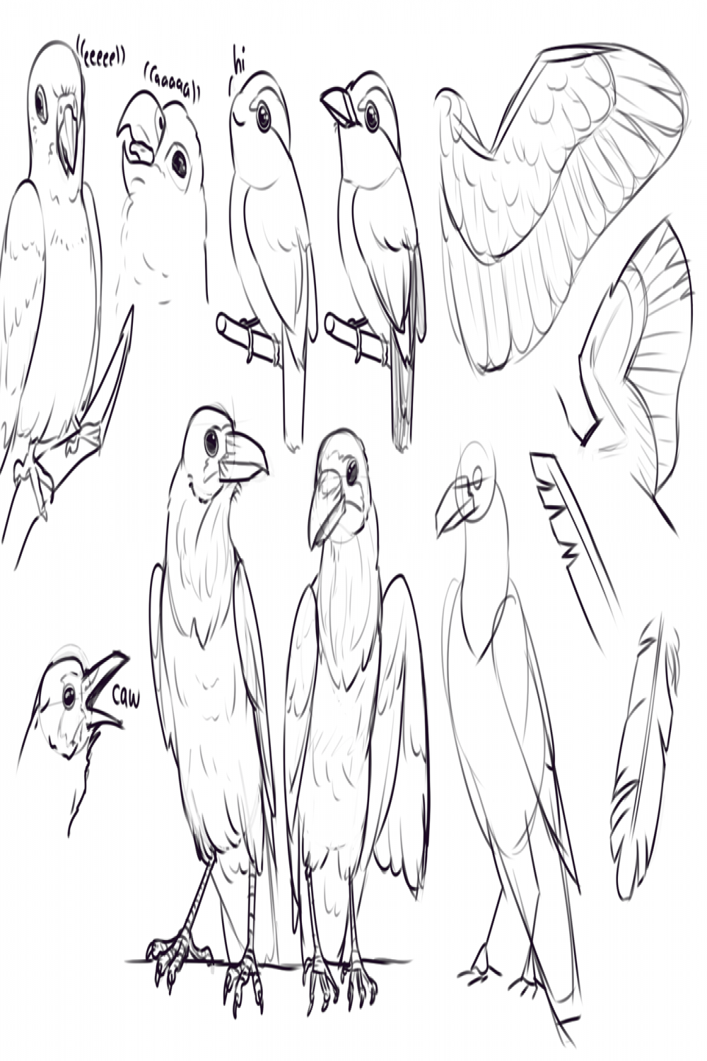 Drawing drill # : Faces, gesture, birds, hips, hands - Smirking