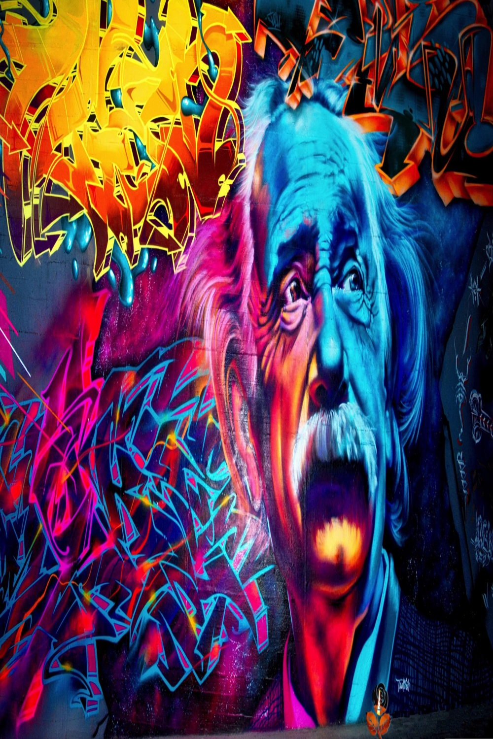 Einstein Graffiti Street Art HD wallpaper  Graffiti wallpaper