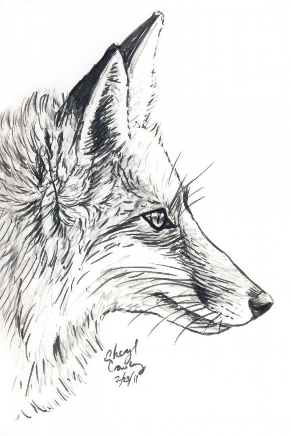 Fox Profile by silvercrossfox.deviantart