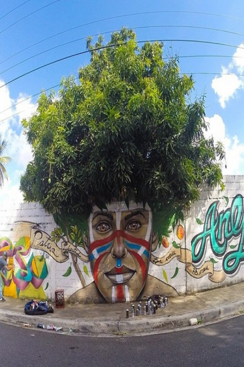 Graffiti végétal : quand le street art joue avec la nature