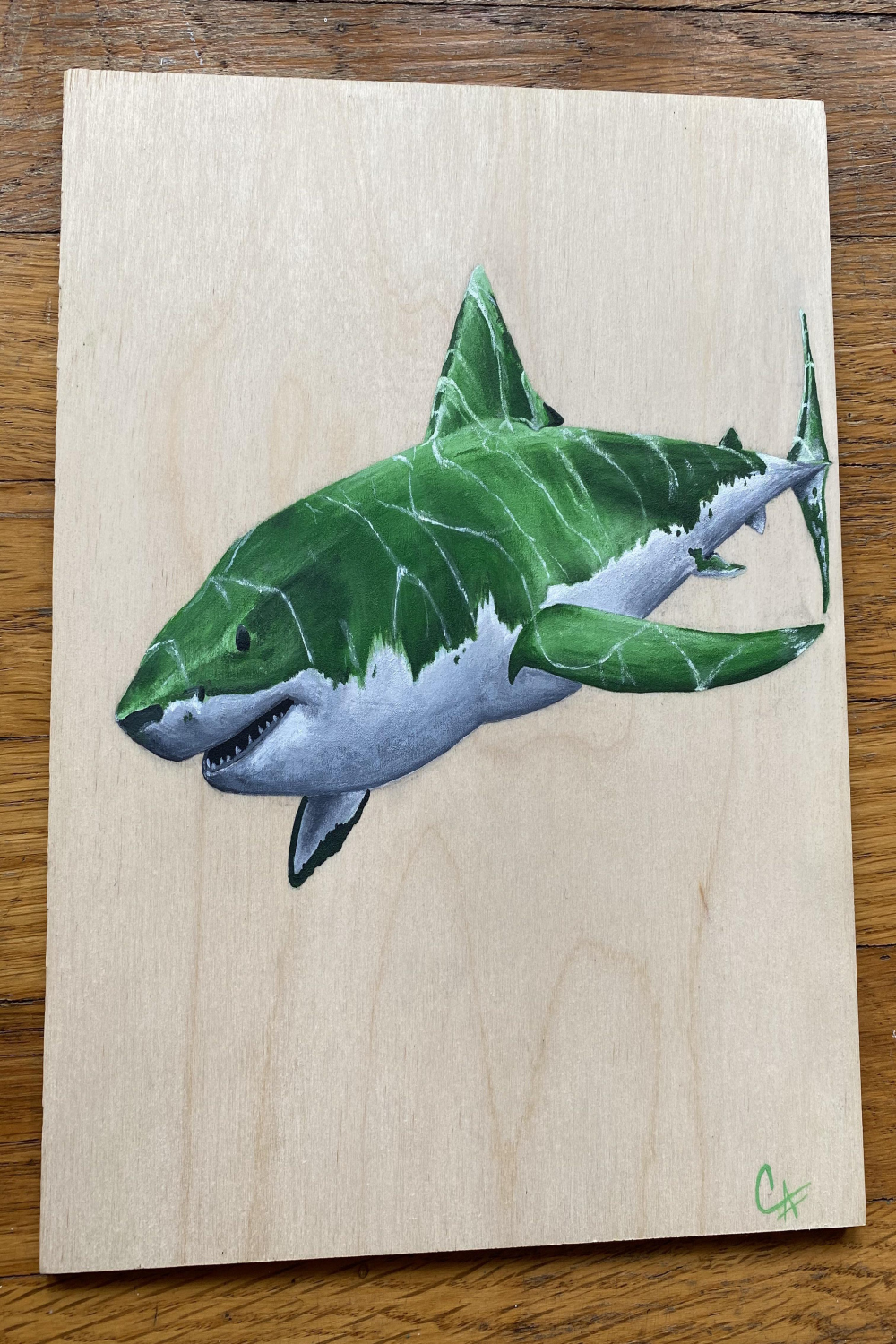 Great Green Shark, Me, Acrylic,  : r/Art