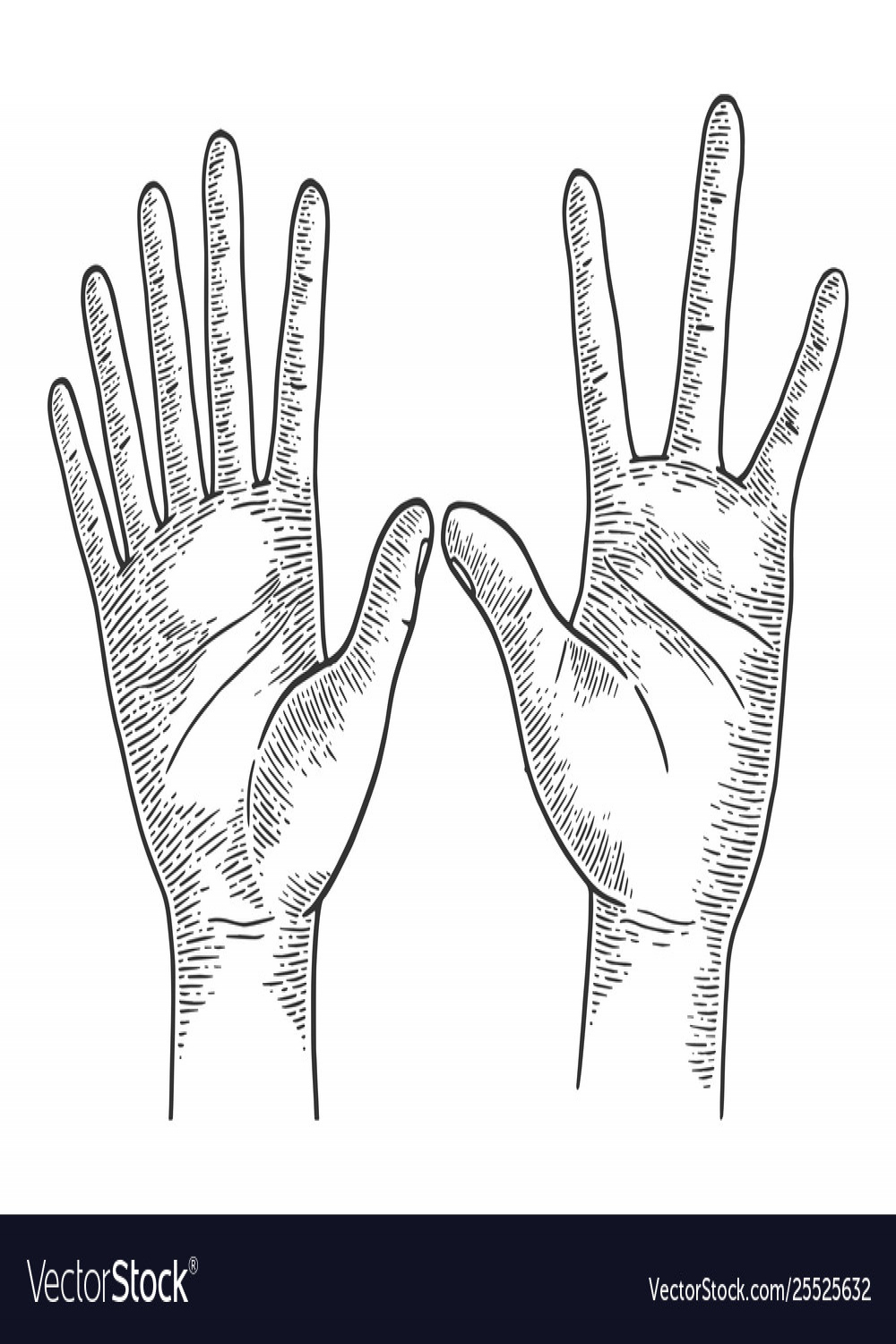 Hands with six and four fingers sketch engraving Vector Image