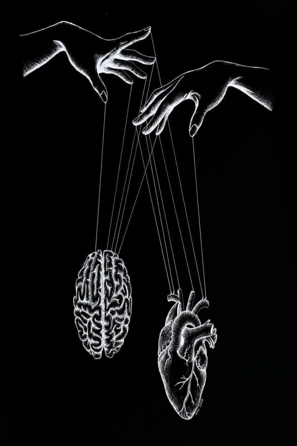 Heart and Brain Drawings  Brain drawing, Black aesthetic