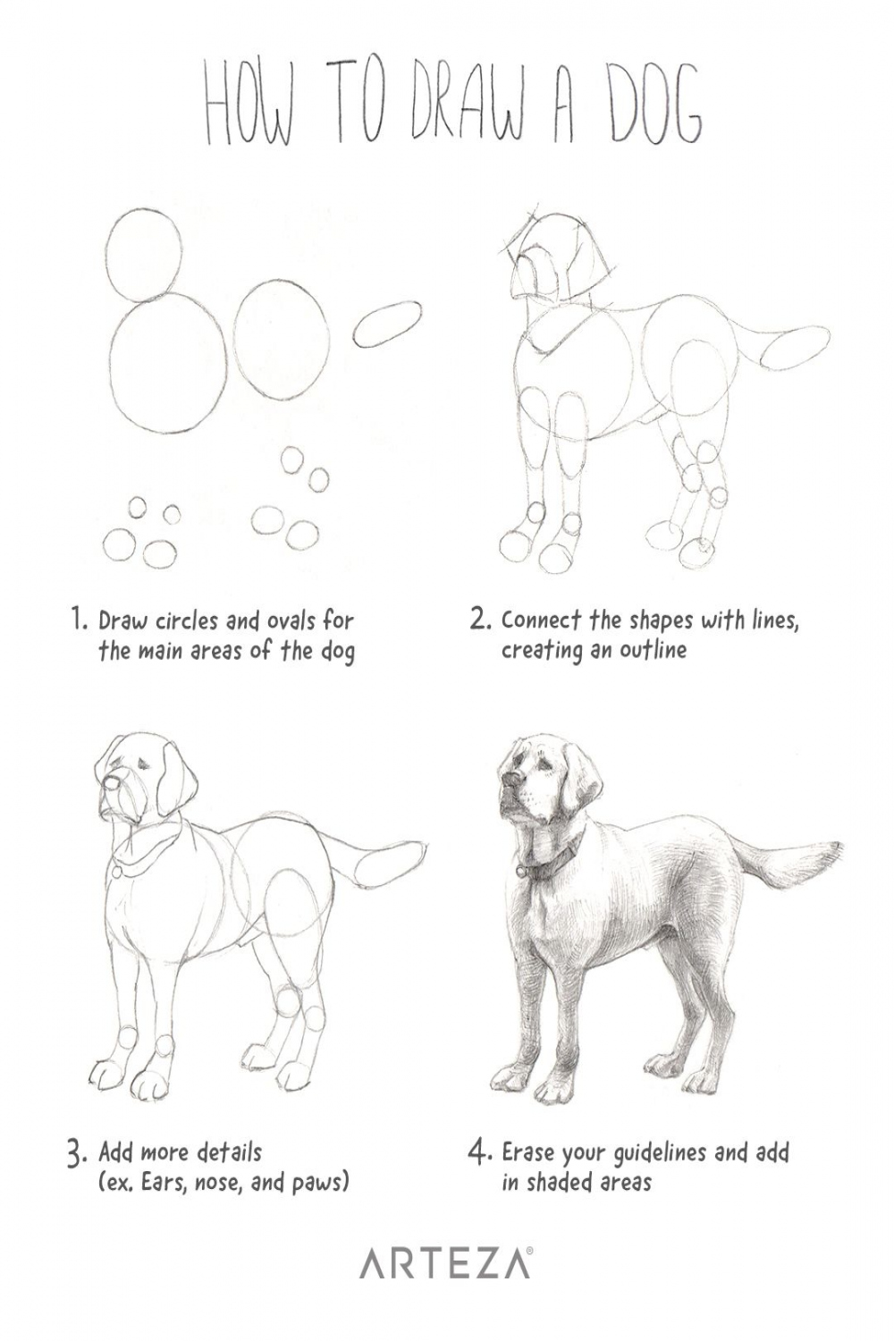 How to Draw a Dog  Dog drawing simple, Dog drawing tutorial, Dog