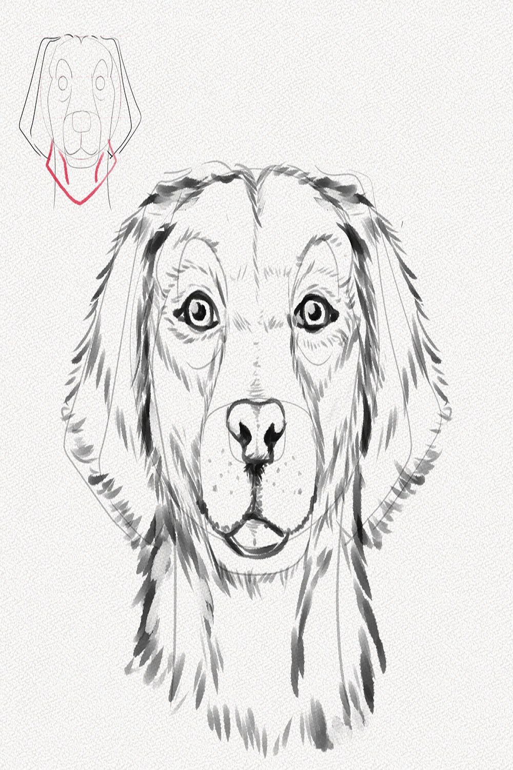 How to Draw a Dog Face – A Step-by-Step Tutorial – Artlex