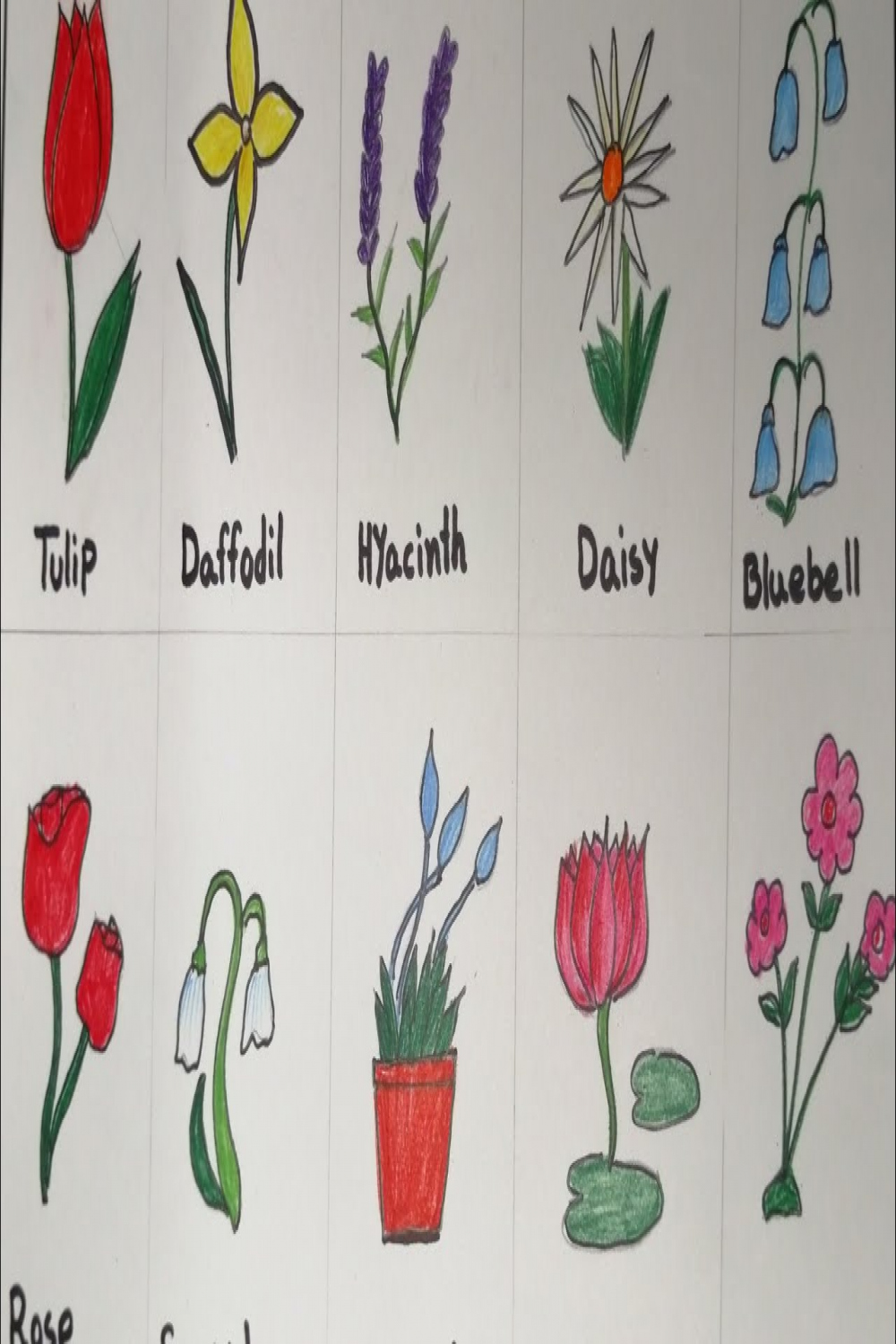 How to draw Different types of flowers  How to Draw & Coloring Flowers for  Kids Learn Flower Names