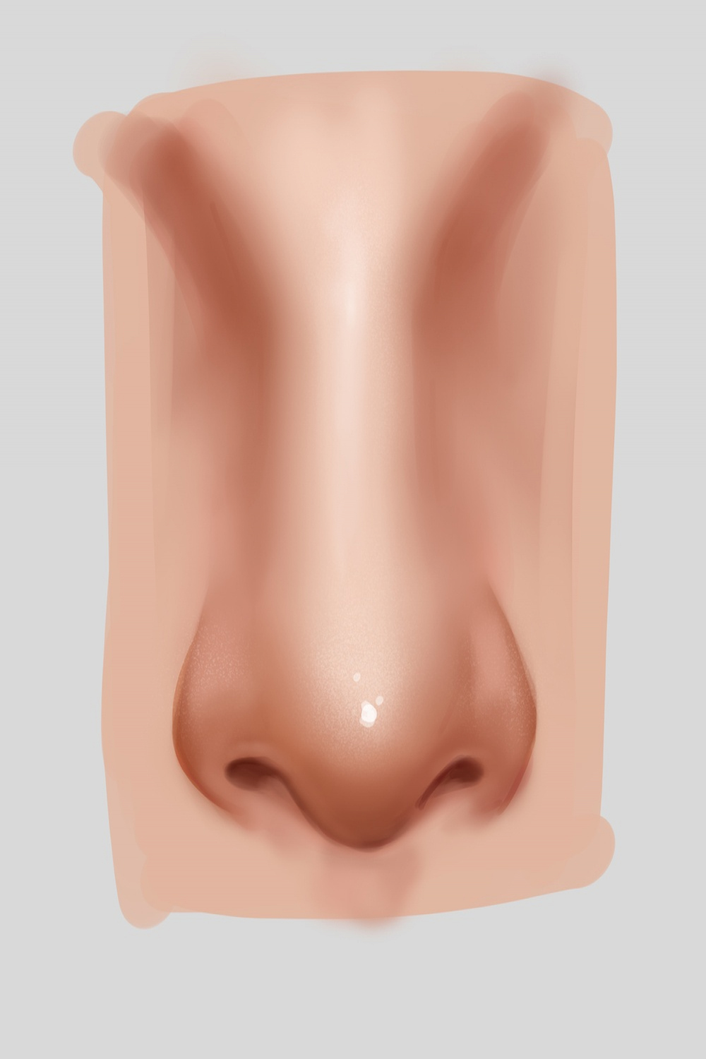 How To Draw Noses (With Sketching References)  XPPen