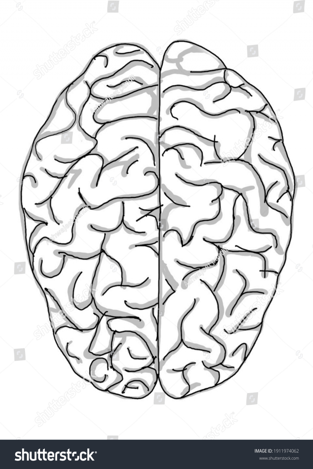 Human Brain Drawing Digital Art Stock Illustration