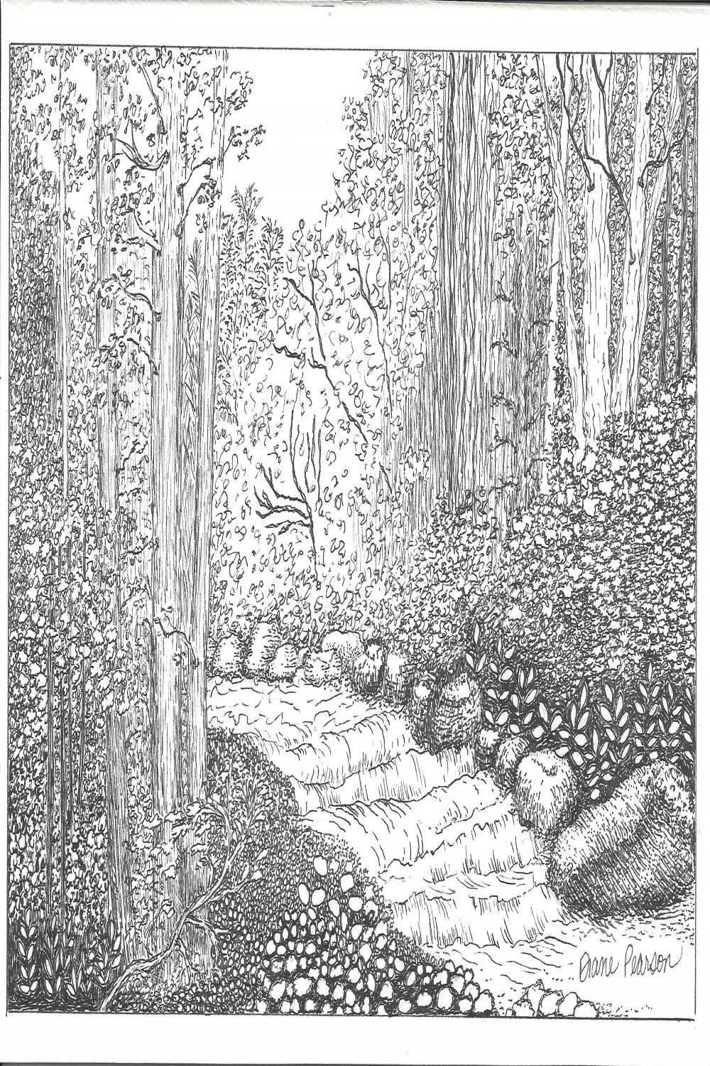 Into The Woods Pen and Ink Landscape Drawing Original Art x