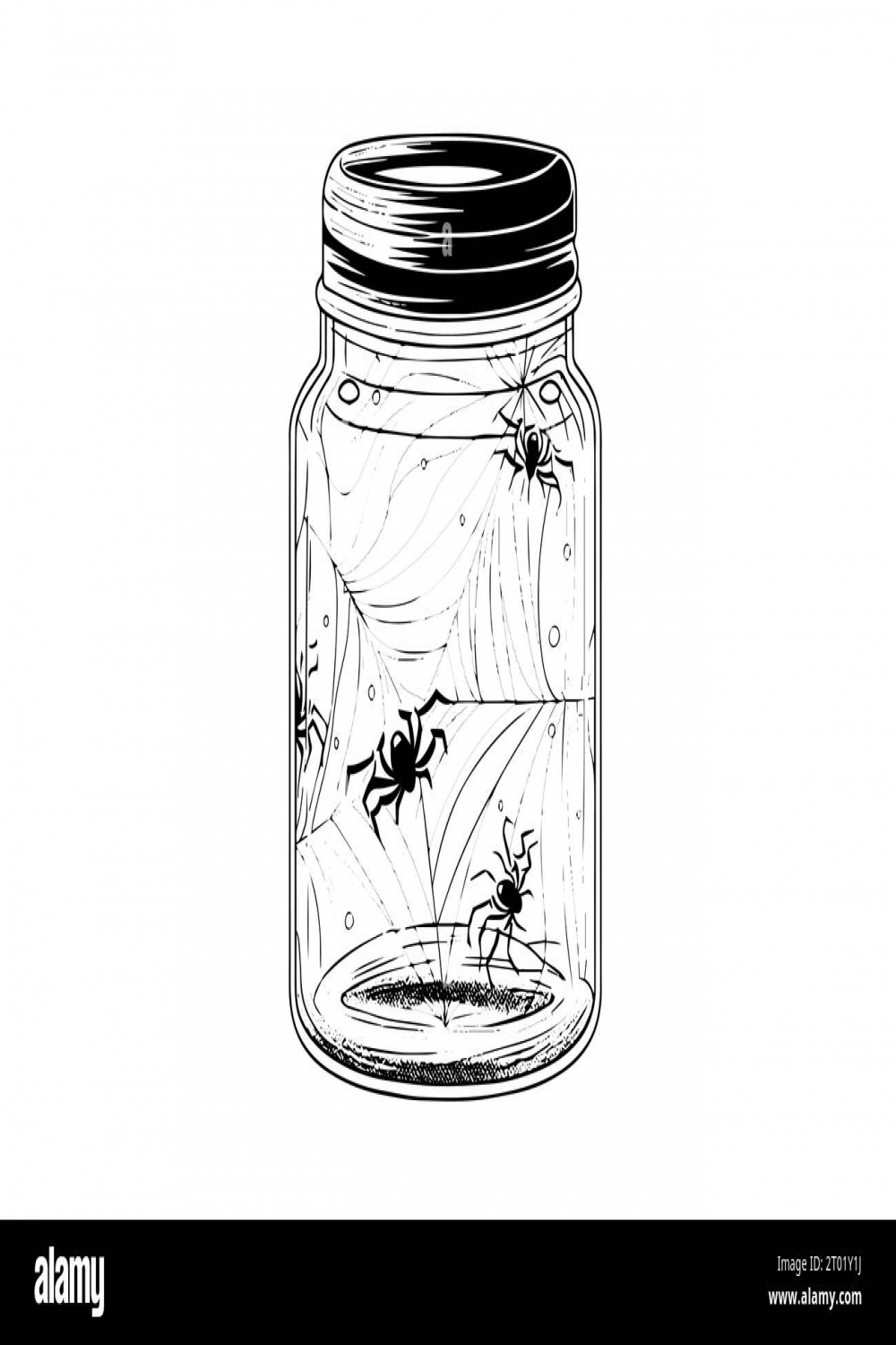 Jar with spider hand drawn ink sketch