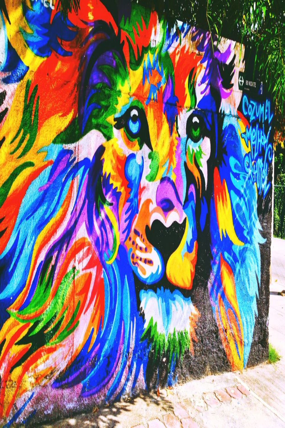 Lion graffiti street art @ playa del Carmen  Street art, Graffiti