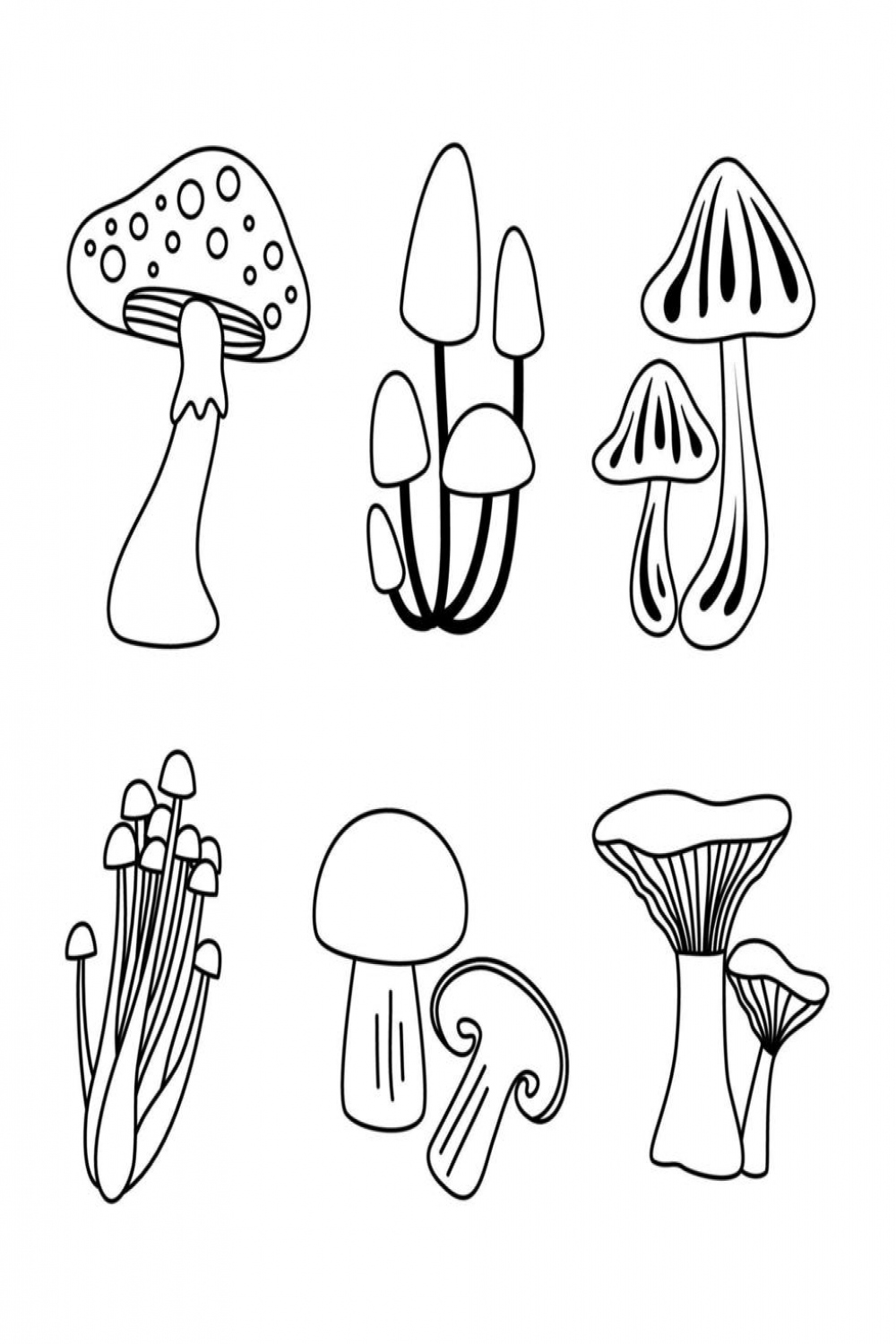 Mushroom line art collection illustration  Vector Art at