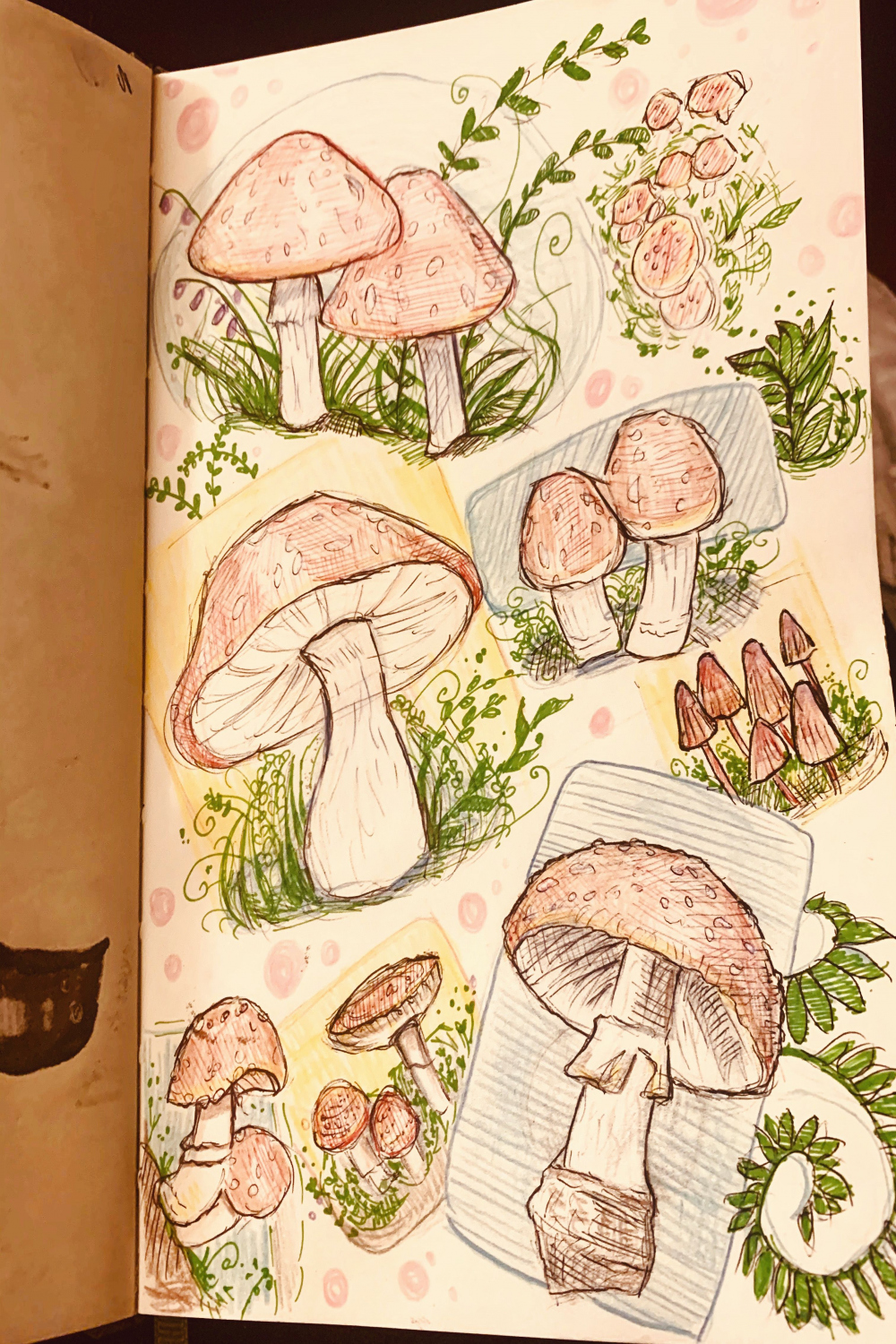 Mushroom page 🍄  Art journal inspiration, Sketch book