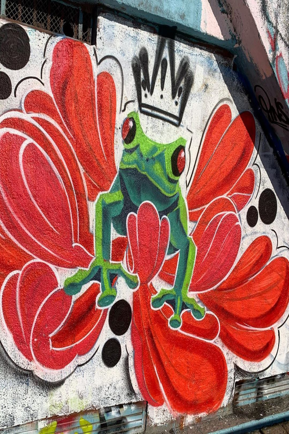 Nathalie on Instagram: “#graff #frog #streetart #paint