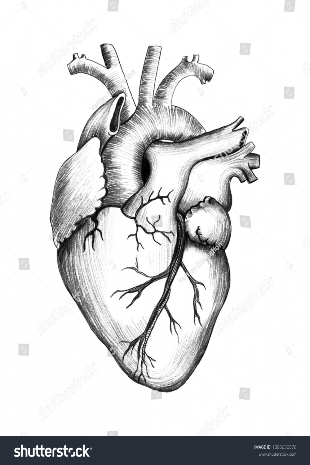 Pencil Drawing Heart Realistic Illustration Stock Illustration