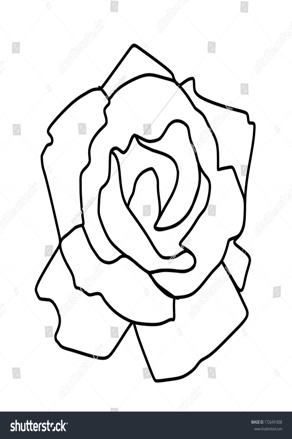 Rose That Has No Red Color Stock Vector (Royalty Free)