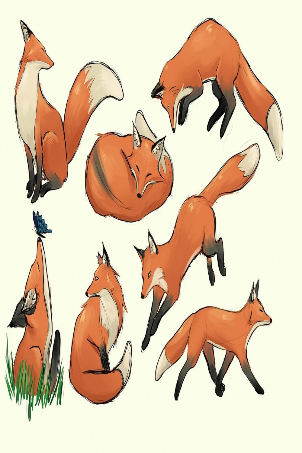 Some fox studies I sketched yesterday! I love foxes and I wanted