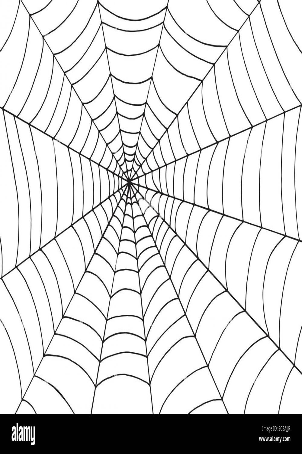 Spider web background, Doodle sketch vector art