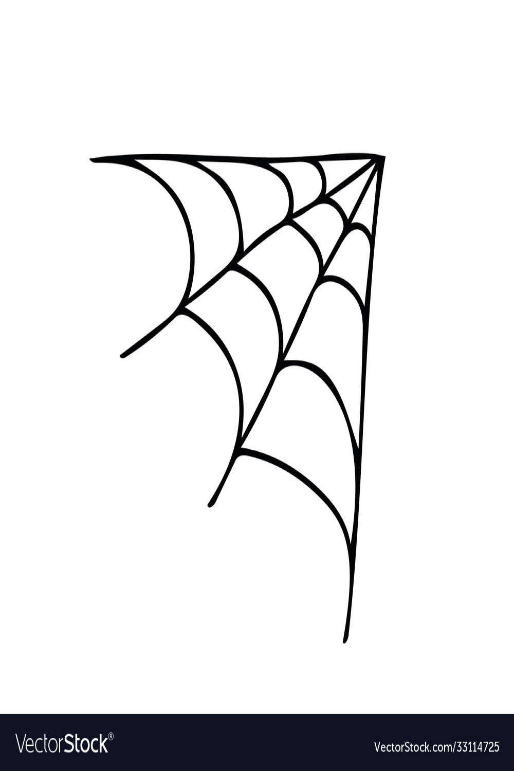 Spider web corner hand drawn in doodle style Vector Image