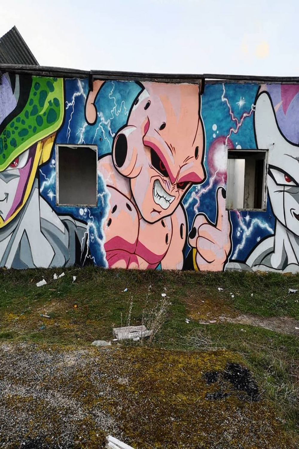 Street art in Portugal : r/dbz