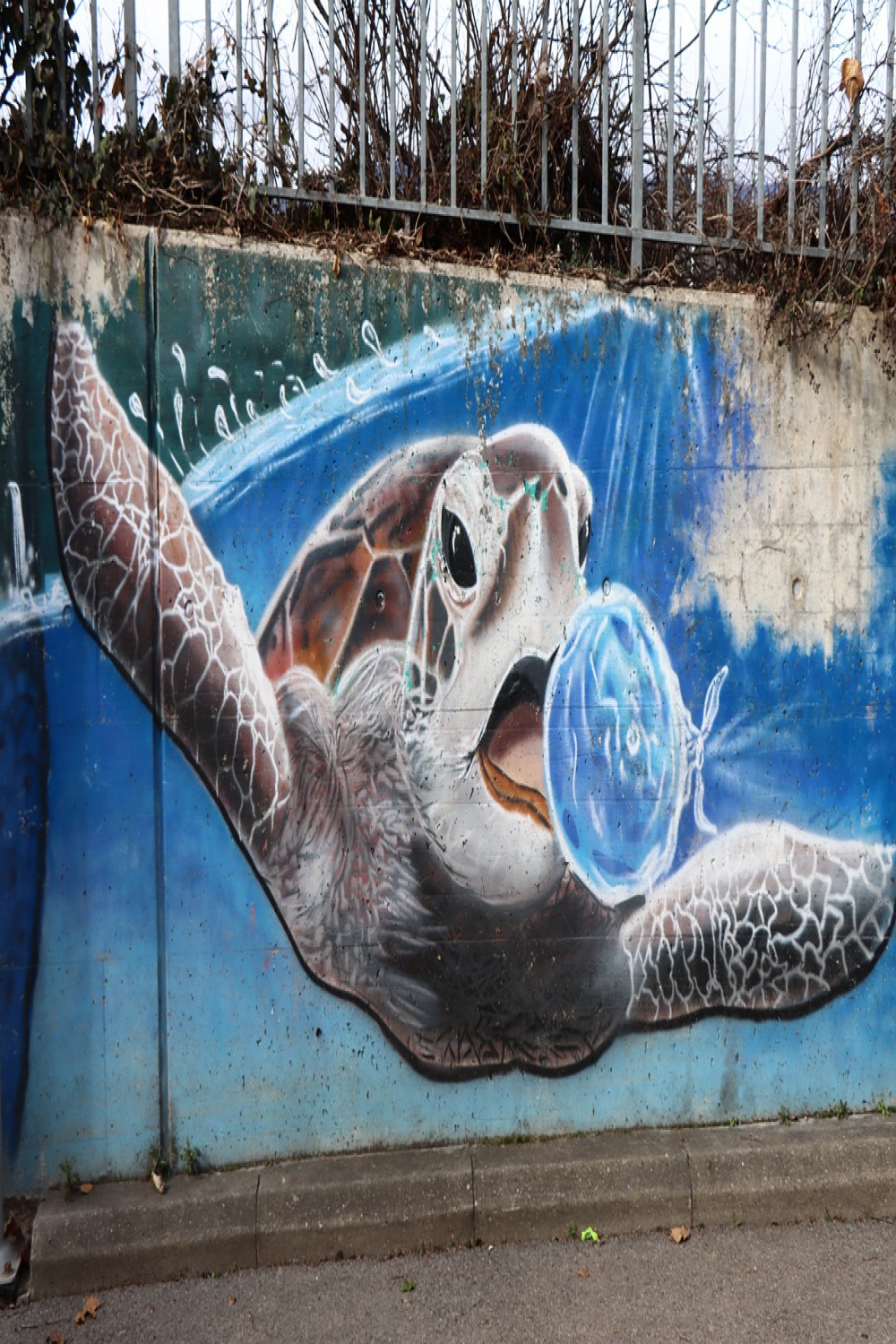 Streetart Schildkröte Graffiti - Kostenloses Foto auf Pixabay