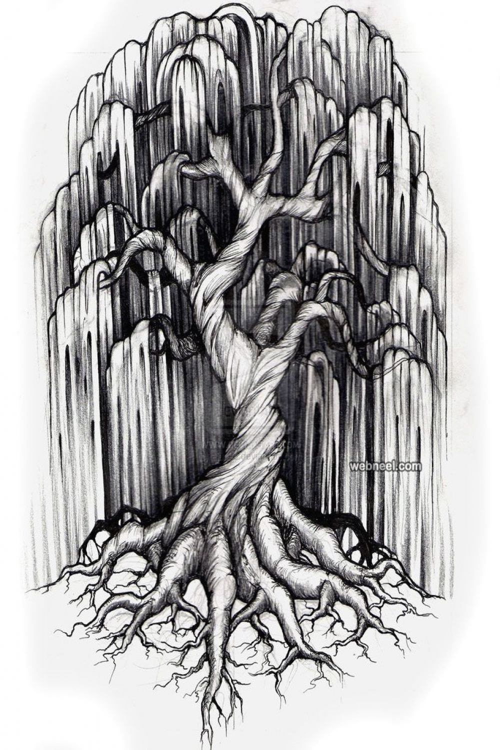 tatto tree drawing  Tree tattoo designs, Willow tree tattoos