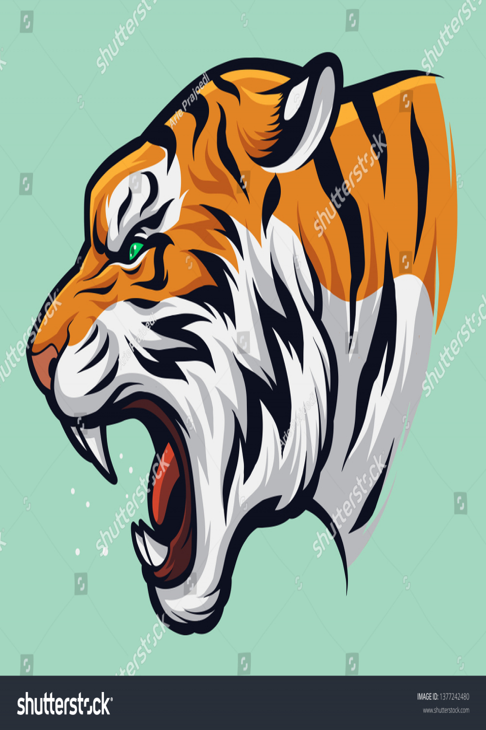 , Tiger Side Face Images, Stock Photos, D objects, & Vectors