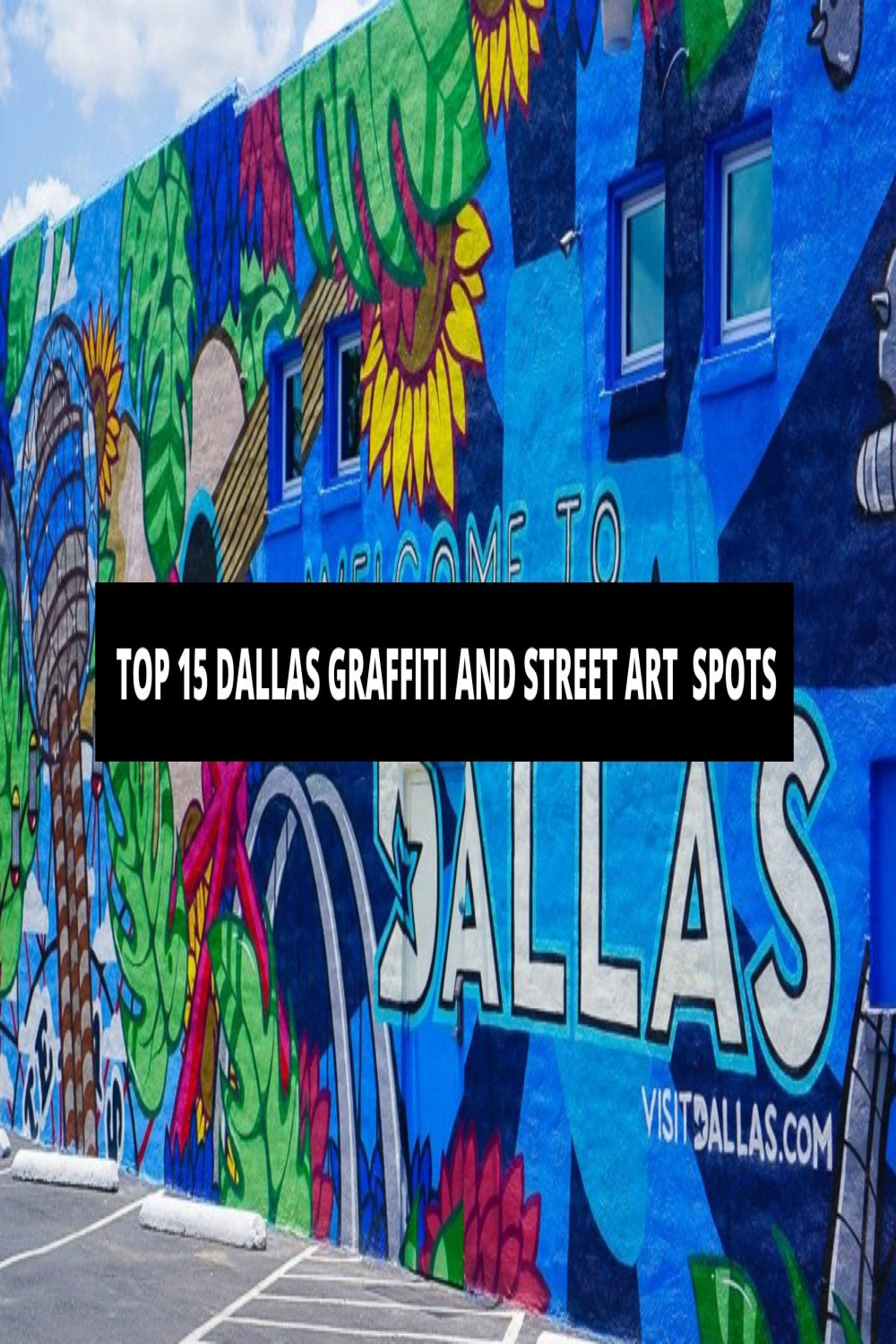 Top  Dallas Graffiti and Street Art Spots  The Trendy Art