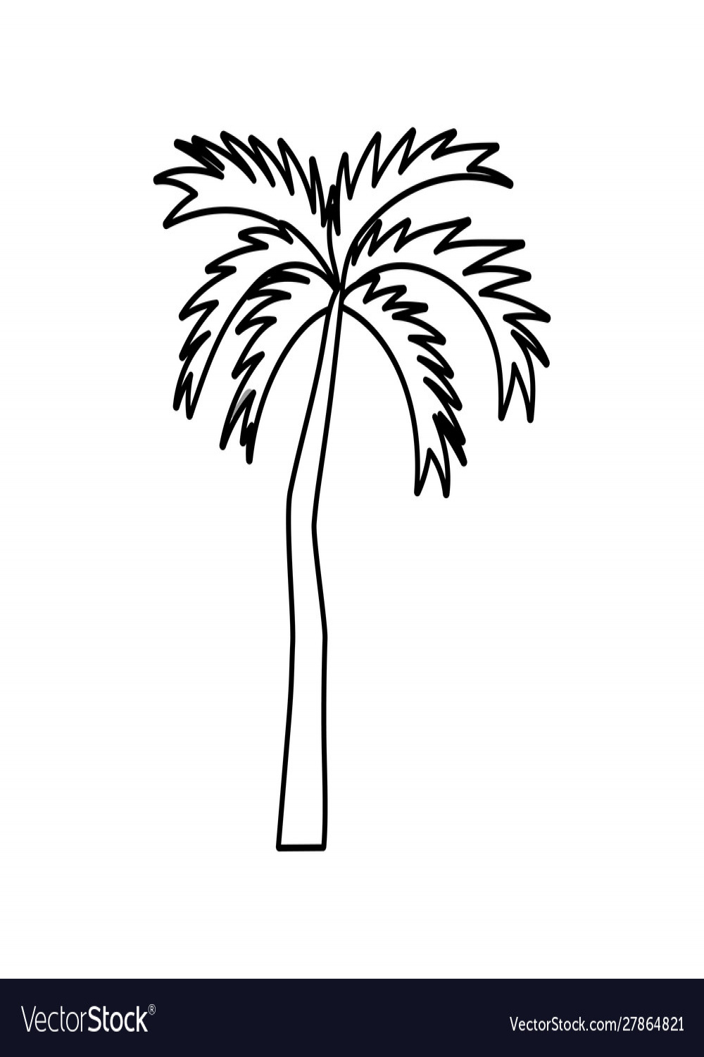 Tropical palm tree on white background thick line Vector Image