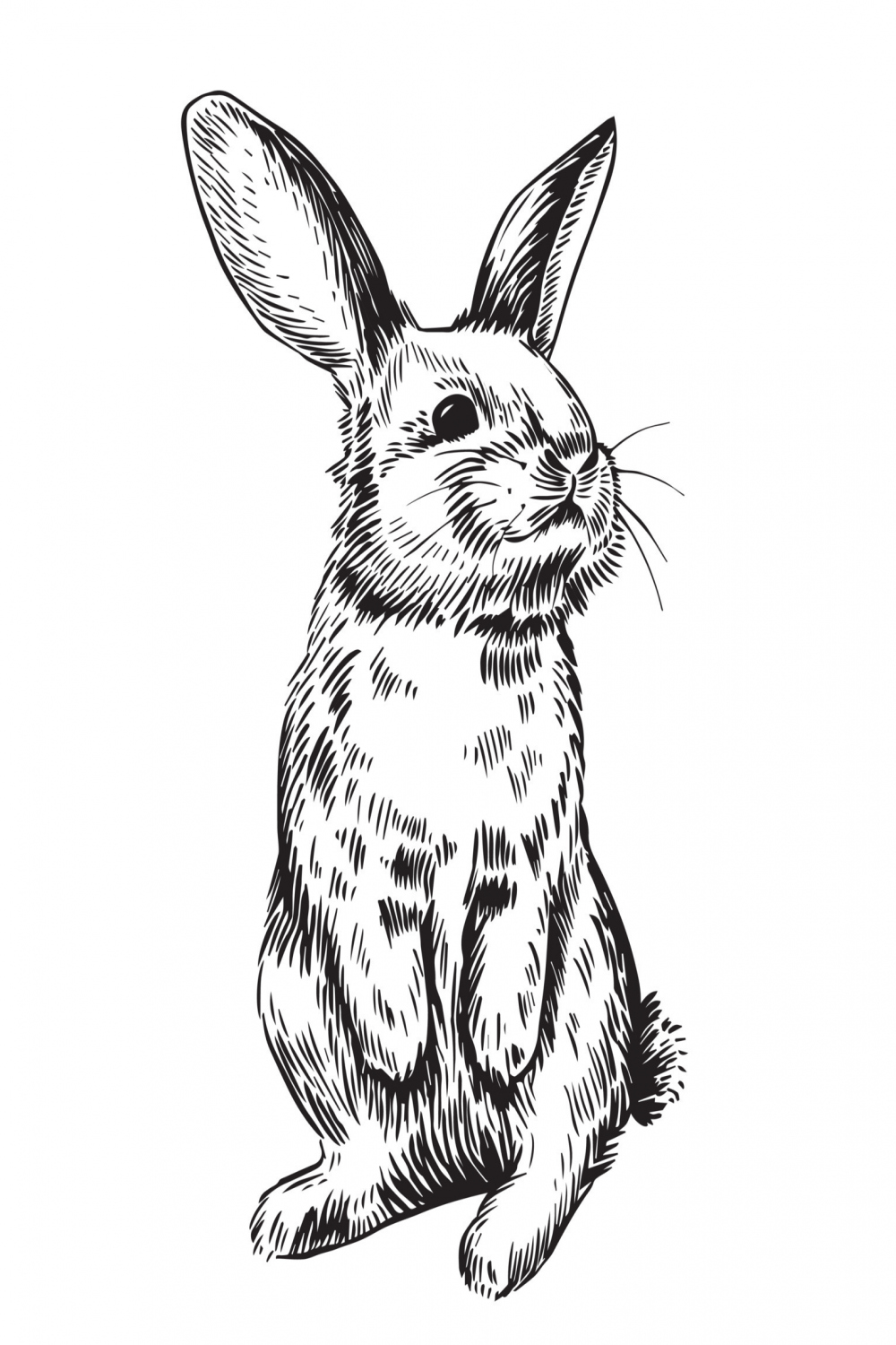 vector drawing with easter bunny in vintage style graphic, sketch