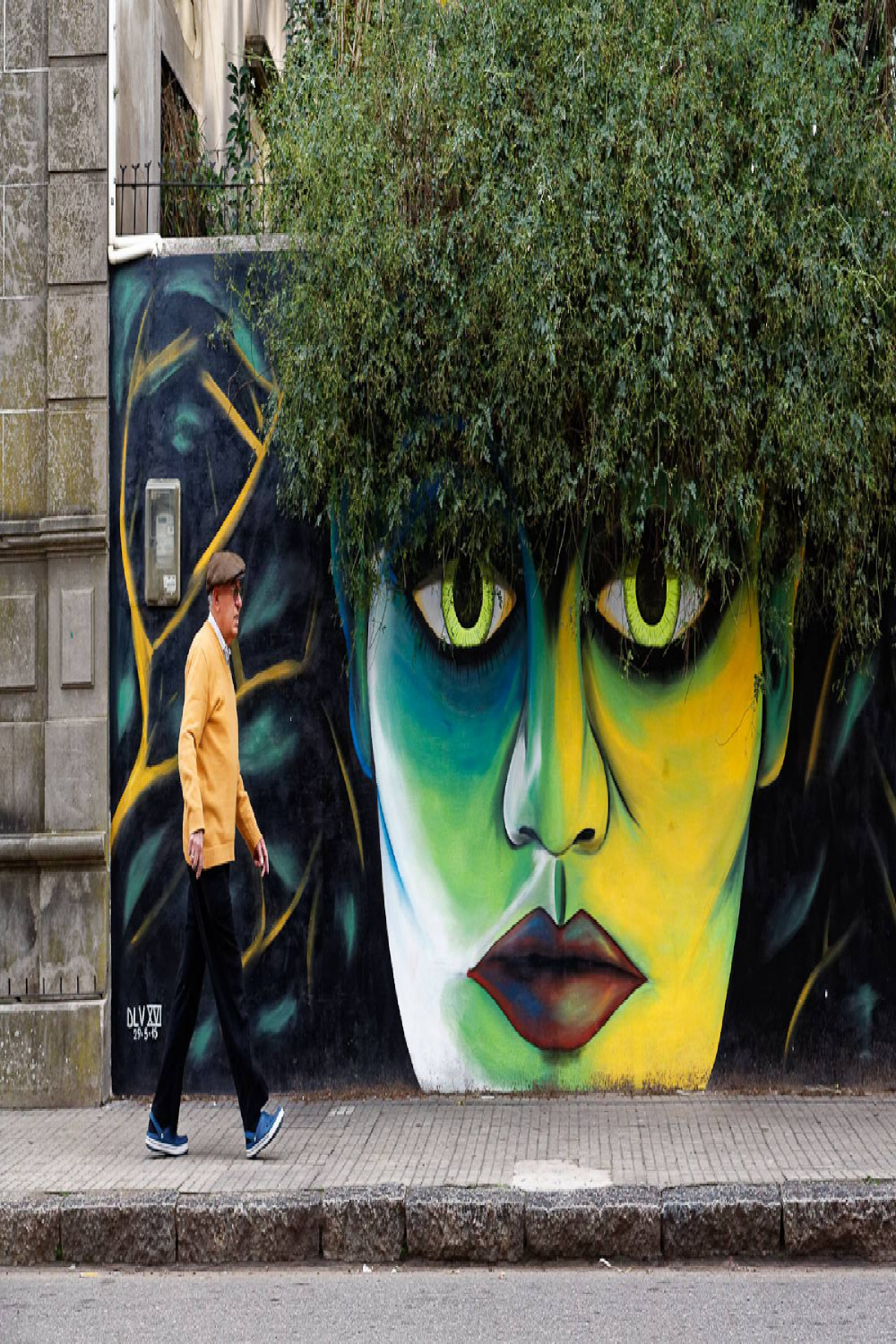 Vegetal - Street art