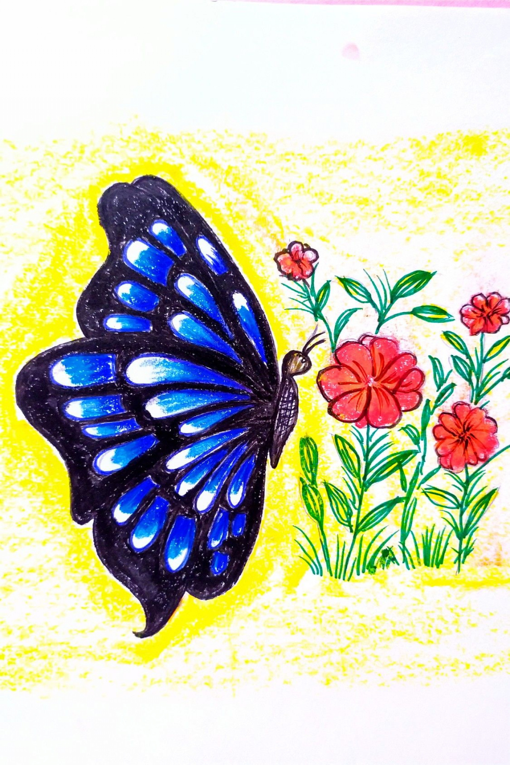 Vibrant Butterfly Drawing with Pastel Colors