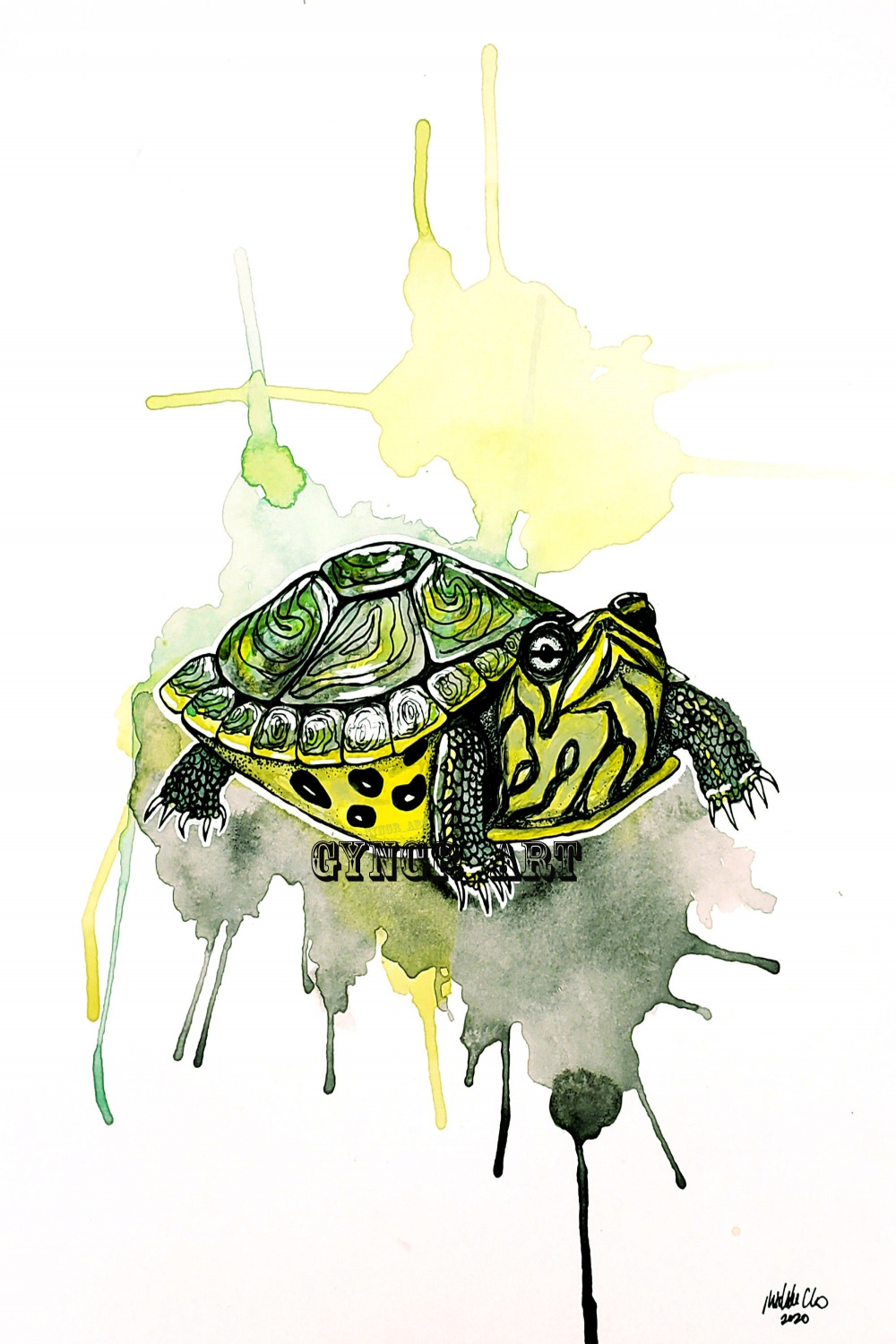 Yellow Belly Slider Turtle Watercolor Print  X - Etsy