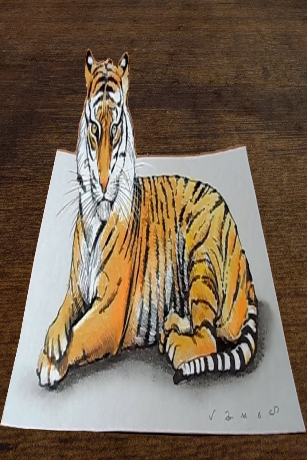 Awesome Tiger - Drawing D Tiger Illusion on Paper - VamosART