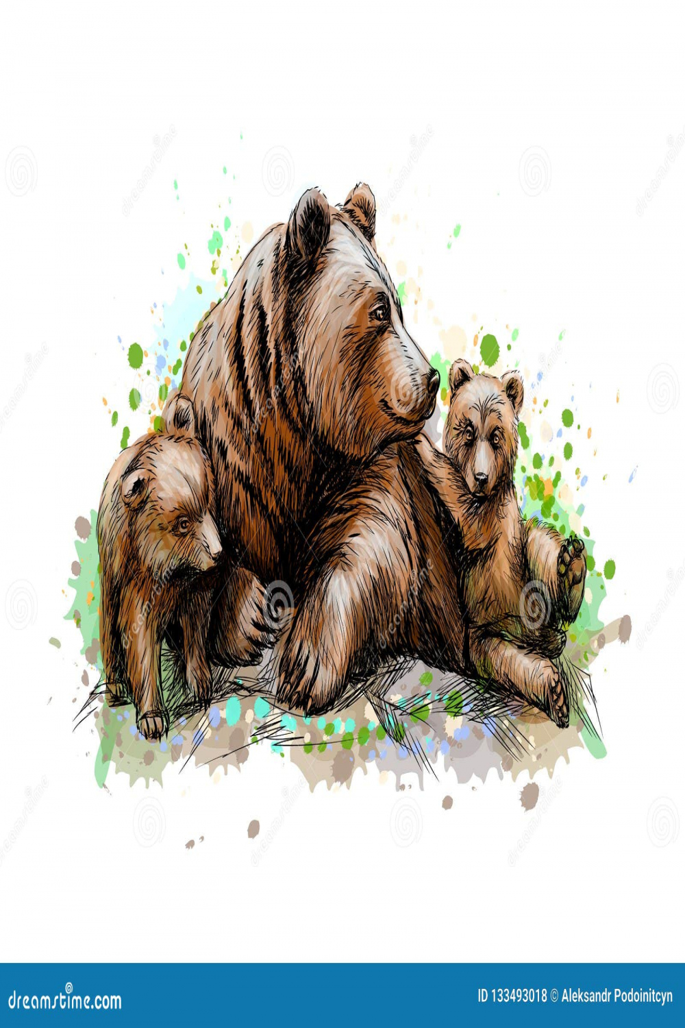 Bear Cubs Stock Illustrations – , Bear Cubs Stock