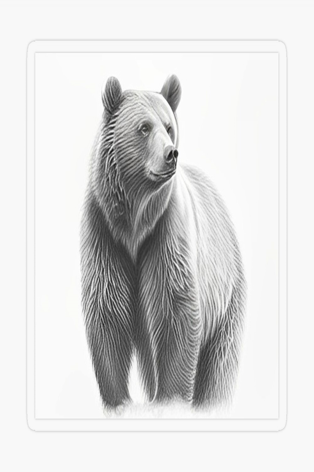 Bear pencil drawing" Canvas Print for Sale by Pencil-Art  Redbubble